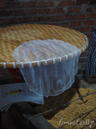 Mekong River Cruise Mekong Delta, Vietnam