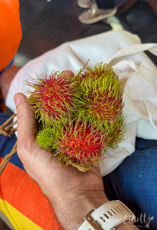 Mekong River Cruise Mekong Delta, Vietnam