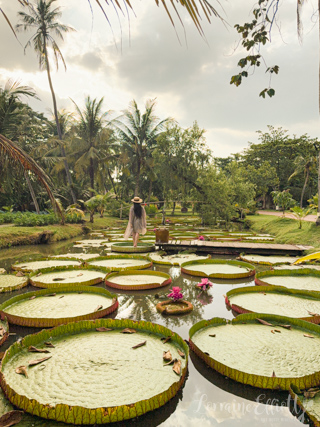 Mekong River Cruise Saigon Ho Chi Minh City