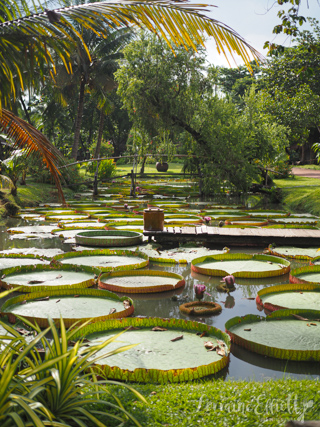 Mekong River Cruise Saigon Ho Chi Minh City