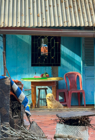 Mekong River Cruise, Unicorn Island, Vietnam