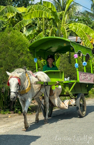 Mekong River Cruise, Unicorn Island, Vietnam