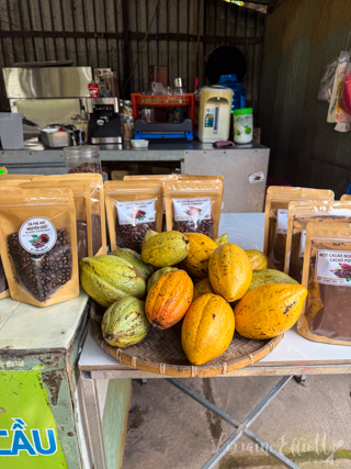 Mekong River Cruise, Unicorn Island, Vietnam