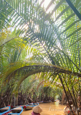 Mekong River Cruise, Unicorn Island, Vietnam