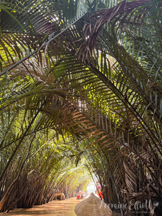 Mekong River Cruise, Unicorn Island, Vietnam