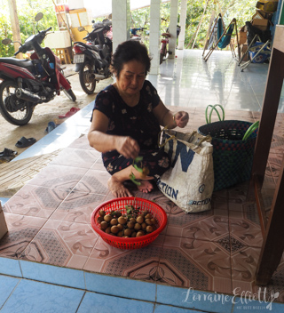 Mekong River Cruise, Unicorn Island, Vietnam