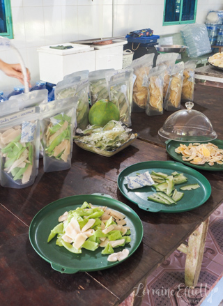 Mekong River Cruise, Unicorn Island, Vietnam