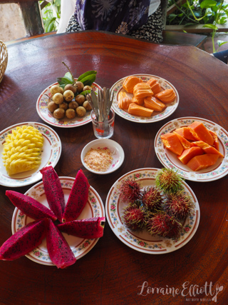 Mekong River Cruise, Unicorn Island, Vietnam