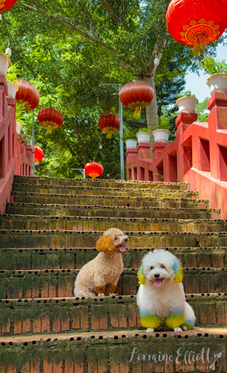 Mekong River Cruise Vietnam