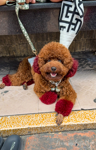 Mekong River Cruise Vietnam