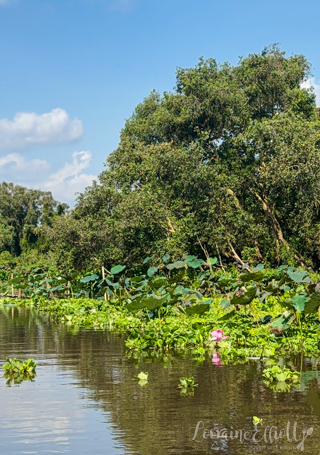 Mekong River Cruise Vietnam