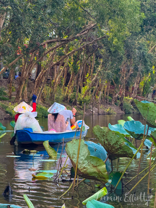 Mekong River Cruise Vietnam