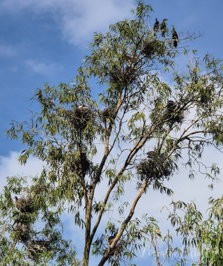 Mekong River Cruise Vietnam