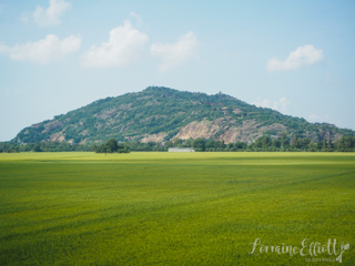 Mekong River Cruise Vietnam