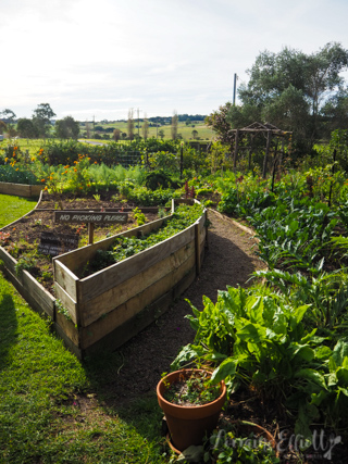 Milton Berry Ulladulla Shoalhaven Food