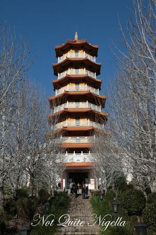 nan tien temple tea room