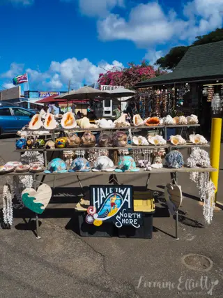 Haleiwa Kahuku North Shore Oahu