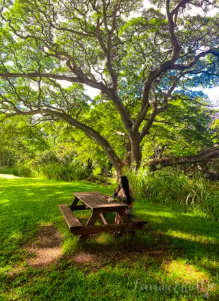 Haleiwa Kahuku North Shore Oahu