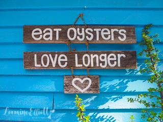 Oysters Seafood South Coast NSW