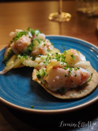 Papalote, Newcastle