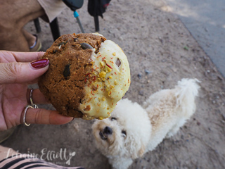 Puppy Tail Cafe, Lane Cove