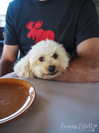 Rasa House, Rose Bay