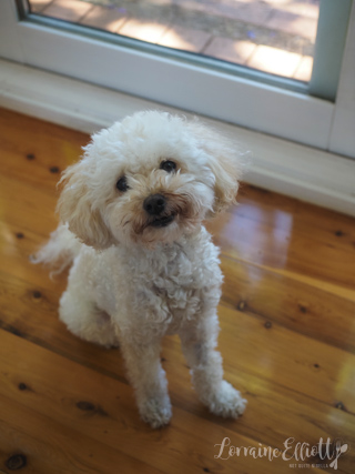 Roast Turkey How Long To Cook