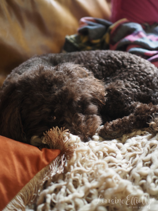 Roasted Cherry Tomatoes