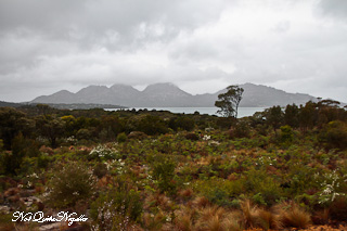 Saffire Freycinet