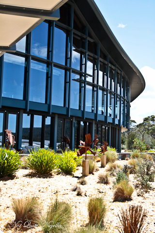 Saffire Freycinet