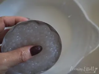 Sago Pudding