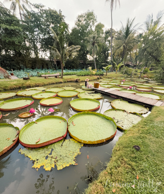Saigon District 1, Vietnam