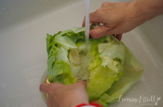 San Choy Bau Bow Recipe