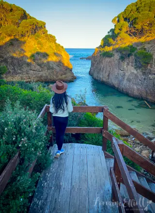 Sapphire Coast's Oyster Trail