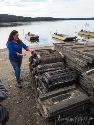 Sapphire Coast's Oyster Trail