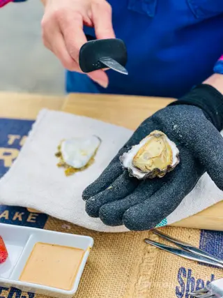 Sapphire Coast's Oyster Trail