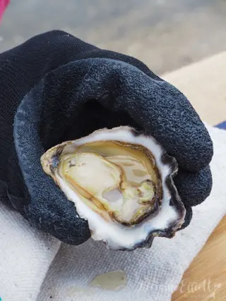 Sapphire Coast's Oyster Trail