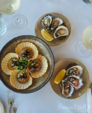 Sapphire Coast's Oyster Trail