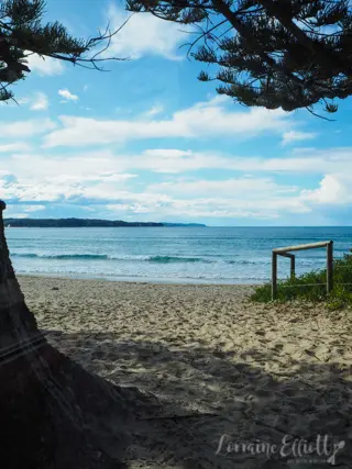 Sapphire Coast's Oyster Trail