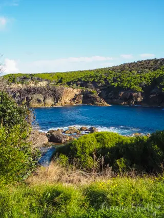 Sapphire Coast's Oyster Trail
