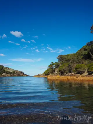 Sapphire Coast's Oyster Trail