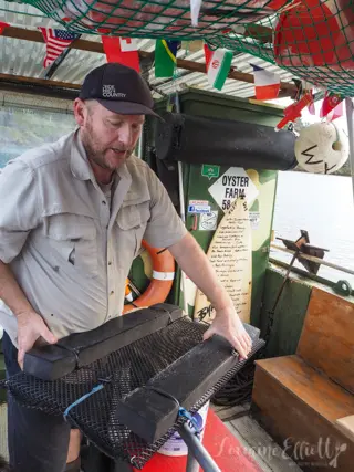Sapphire Coast's Oyster Trail