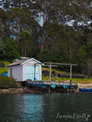 Sapphire Coast's Oyster Trail