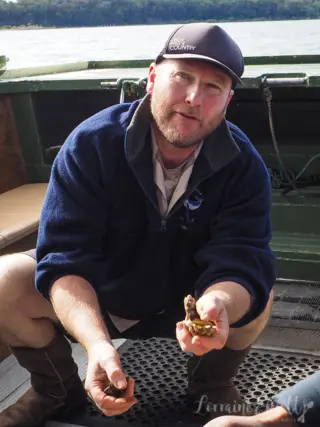 Sapphire Coast's Oyster Trail