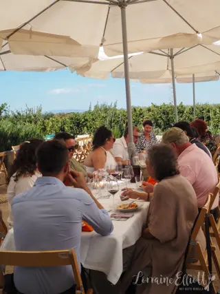 Scoglitti Sicily Wine Olive Oil