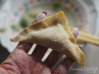 Shrimp Dumplings