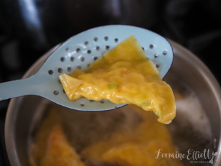 Shrimp Dumplings