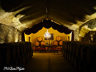 Sonoma County Cellar Door Experiences