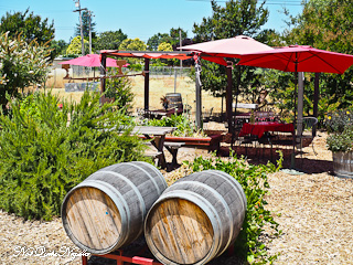 Sonoma County Cellar Door Experiences