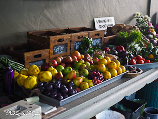 Southern Highlands Food